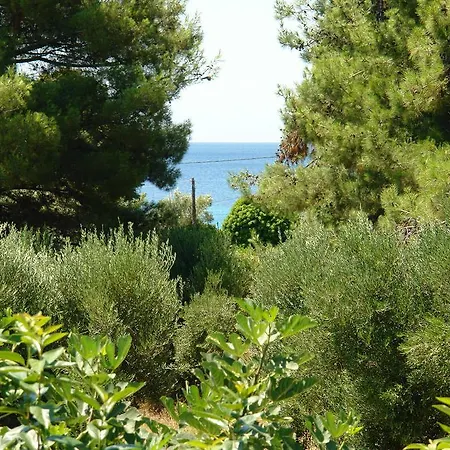 Antheia's House Nea Skioni